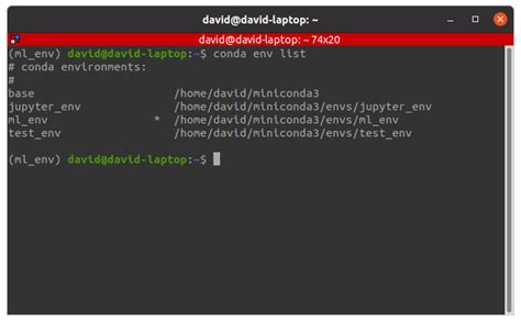 run python script in conda environment