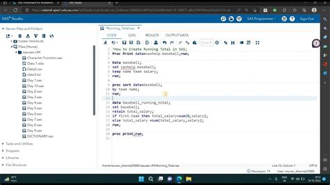 run r code in sas