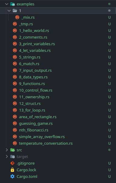 rust examples folder