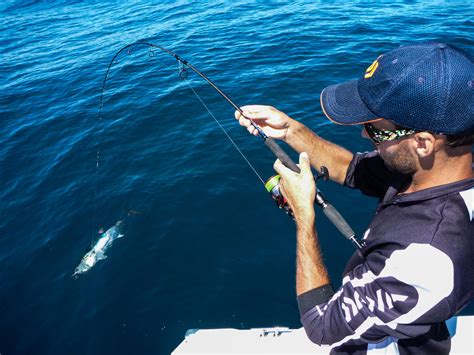 Enter SA Fishing Promo Codes