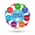 The Advancement of a Company's Safety Culture