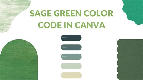 sage colour code canva
