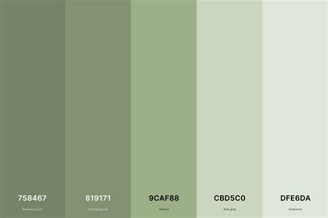 sage colour code hex