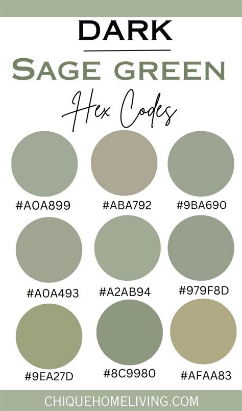 sage green hex code canva