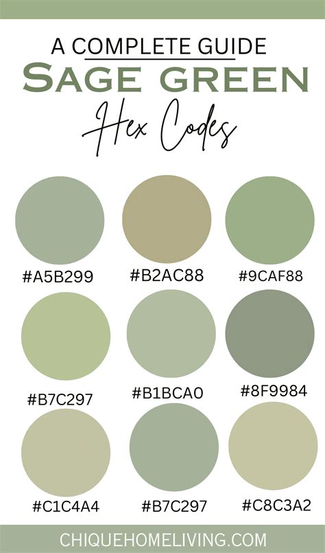 sage green paint code
