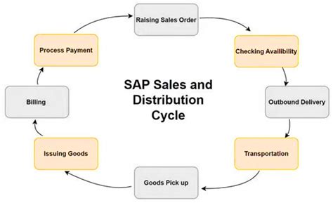 sales and distribution business process in sap