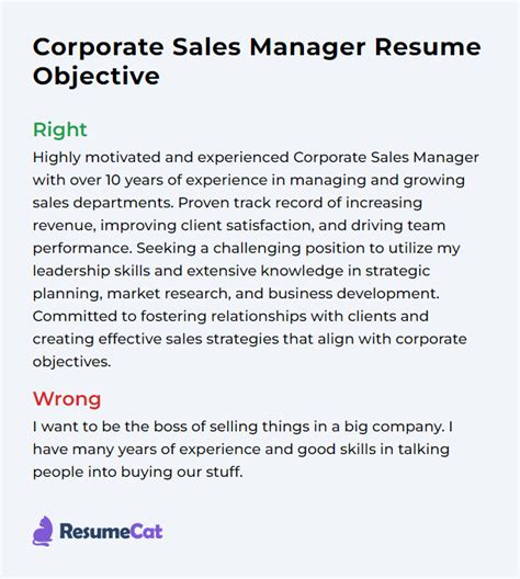 sales manager objectives examples