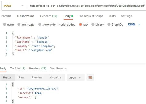 salesforce rest api post json example