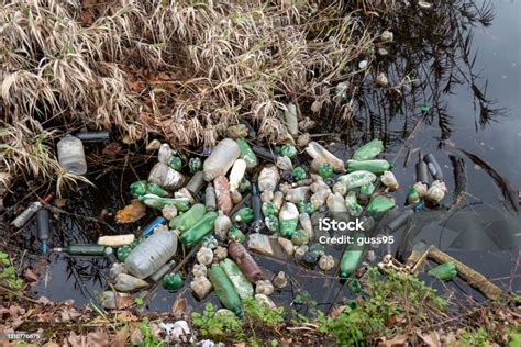 sampah sungai