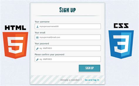 sample css code for registration form