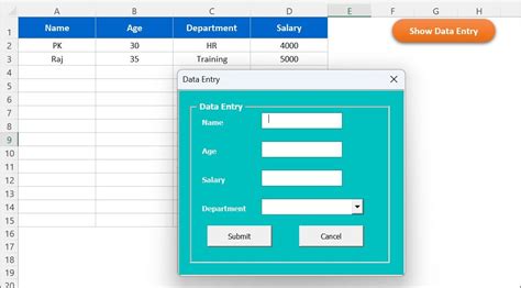 sample data entry form in excel vba