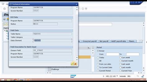 sap technical data