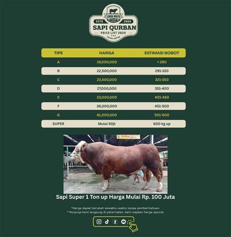 Sapi Qurban Siap