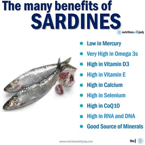Sardines fish proteins