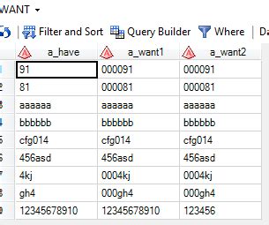 sas add leading zeros to character