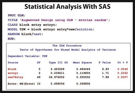 sas in function example