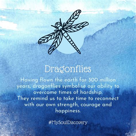 saving a dragonfly meaning