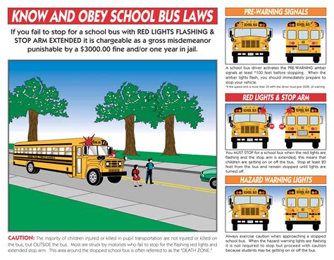 school bus on road