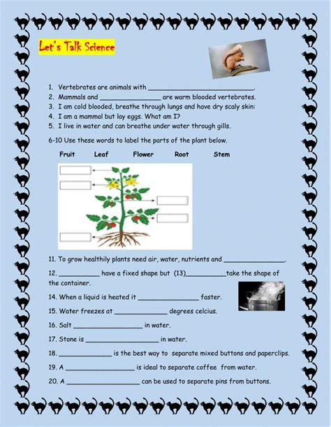 science activity for class 4