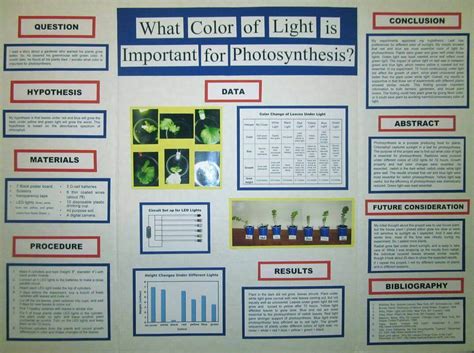 science fair projects presentation examples