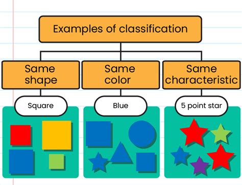 science process skills classifying examples