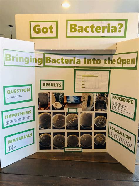 science project board examples