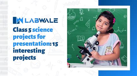 science projects for class 10