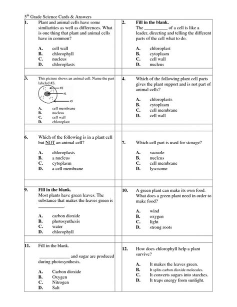 science questions for grade 5 with answers pdf