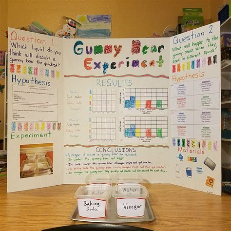 scientific method projects