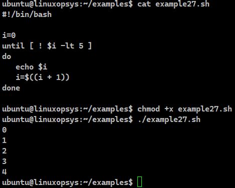 script bash example