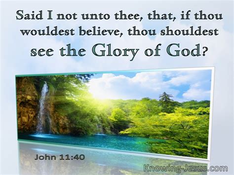 scripture on seeing god's glory
