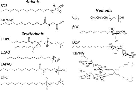 sds detergent function