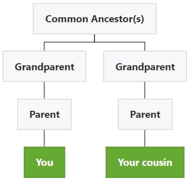 second cousin meaning in marathi