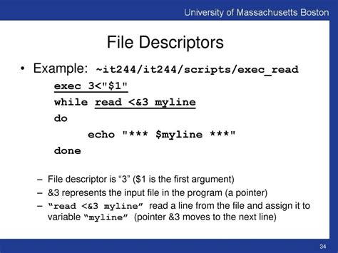 select file descriptor example