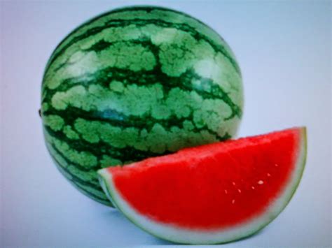 semangka gambar