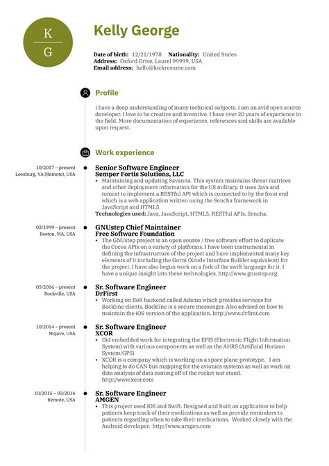 senior software developer cv example