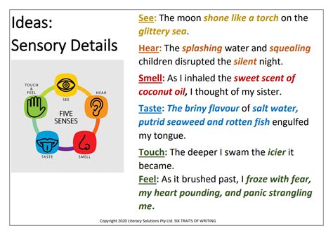 sensory details definition and examples