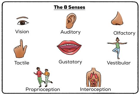 sensory examples