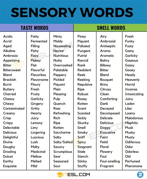 sensory words definition and examples