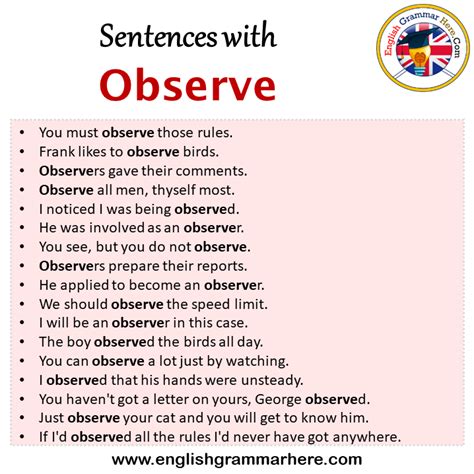 sentence using observe