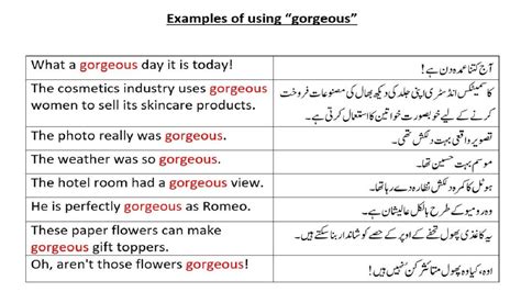 sequence number meaning in urdu with example