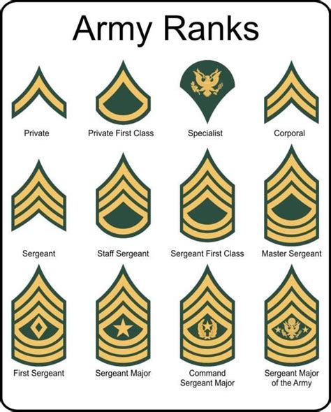 sergeant major vs sergeant first class