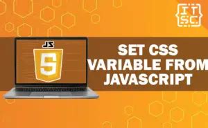 set css variable from javascript react