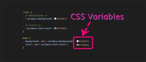 set css variable in js