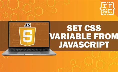 set css variable using javascript