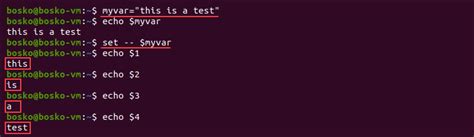 set variable in command line linux