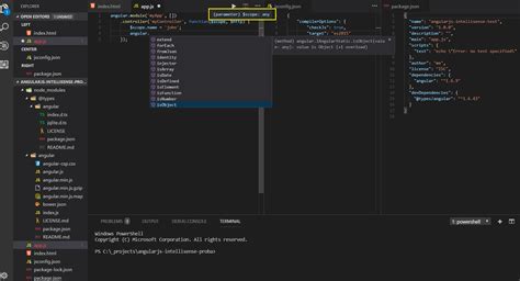 setup angularjs project in visual studio code
