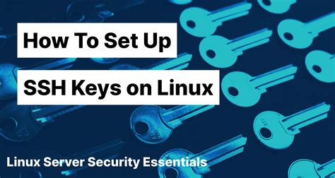 setup ssh server on mac