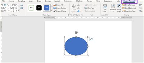 shape format in word 2010