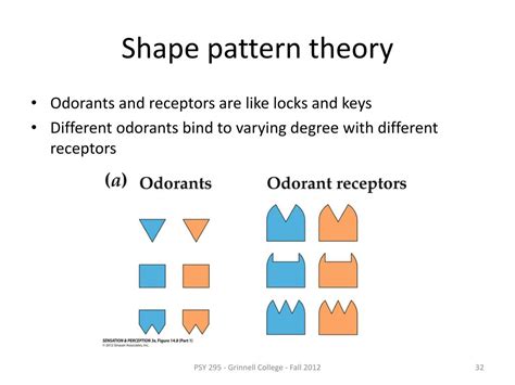 shape pattern theory of olfaction